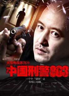 电视剧《中国刑警803》 海报、剧照 - PPTV电视剧